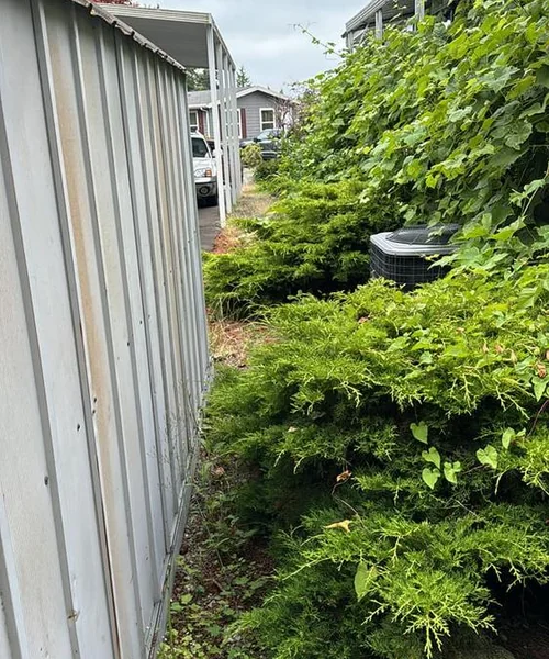 Landscaping Maintenance in Ballard 
